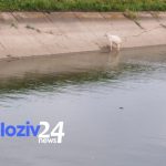 Tânăr posibil înecat în Dunăre, la Zimnicele! - 